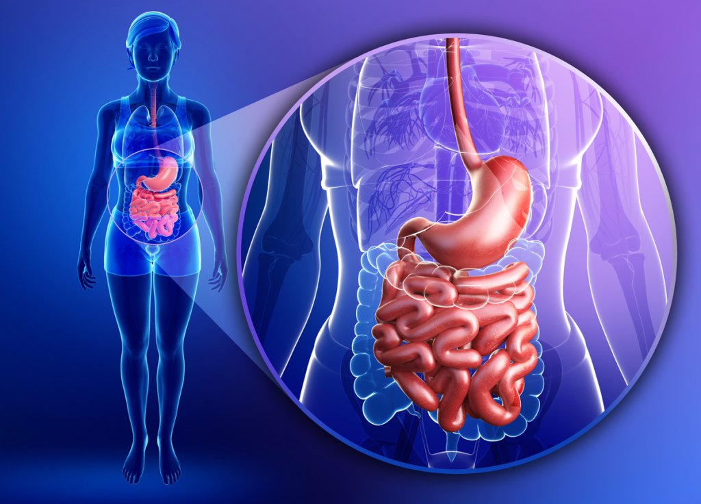 fecal-calprotectin-a-new-marker-of-intestinal-inflammation