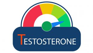 The Effects of Toxic Heavy Metals on Testosterone Levels & Men’s Health - Erectile Dysfunction